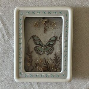 Decorative Taxidermy Butterfly Frame with Teal Accents
